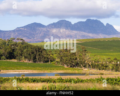 Landschaft in Stellenbosch, Western Cape, Südafrika. Stockfoto