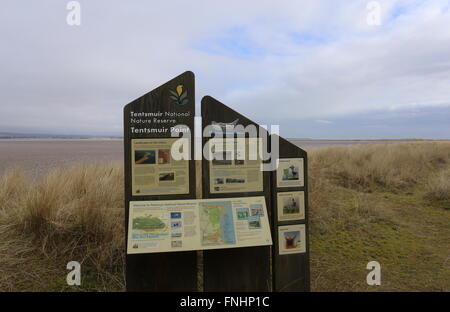 Informationstafel am Tentsmuir National Nature Reserve Fife Schottland März 2016 Stockfoto