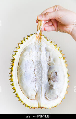 Die Hälfte einer Durian-Frucht statt durch den Stamm durch die Hand einer jungen Frau. Essbaren Teil und Samen sichtbar. Stockfoto