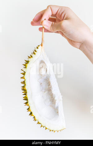 Ein Stück der Durian Schale durch den Stamm von der Hand einer jungen Frau, isoliert auf weiss gehalten. Stockfoto