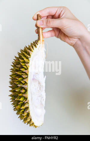 Eine Scheibe Durian statt durch den Stamm durch die Hand einer jungen Frau. Stockfoto