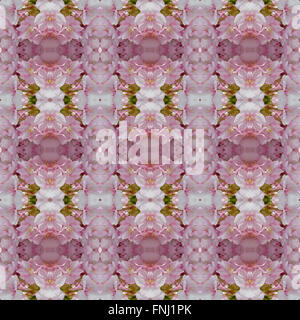 Schöne rosa Kirschblüten (Sakura) Musterdesign Hintergrund Stockfoto