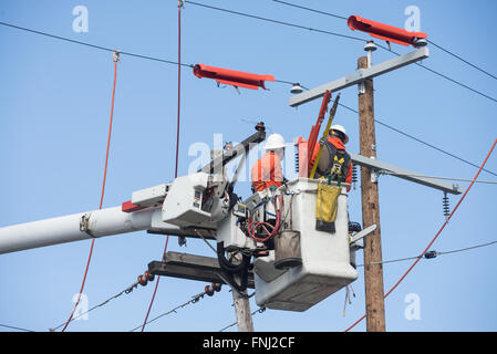 Zwei elektrische Energie Arbeiter schweben in einen Eimer, wie sie Reparaturen. Stockfoto