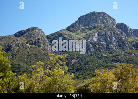 Kirstenbosch National Botanical Garden mit Blick auf Rückseite der Tafelberg in Kapstadt - Südafrika Stockfoto