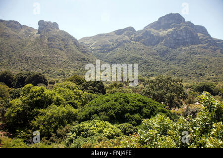 Ansichten von Boomslang Gehweg im Kirstenbosch National Botanical Garden in Cape Town - Südafrika Stockfoto
