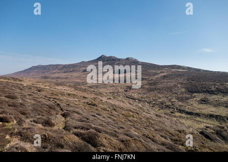 Carn Llidi gesehen vom Weg zum St. Davids Kopf, Pembrokeshire, Wales, UK Stockfoto