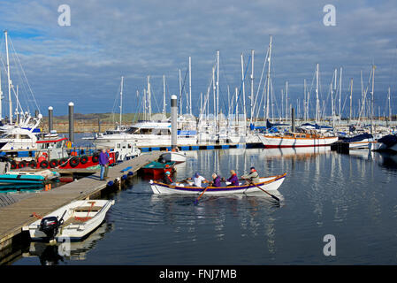 Menschen Rudern ein Skiff in Troon Yacht Haven, Ayrshire, Schottland, Großbritannien Stockfoto