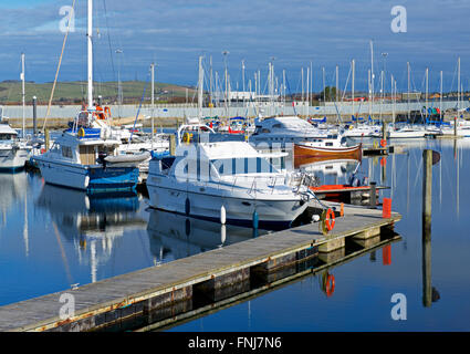 Troon Yacht Haven, Ayrshire, Schottland, Großbritannien Stockfoto