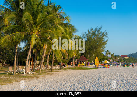 Cenang Strand Palmen bei Sonnenuntergang, Langkawi, Malaysia Stockfoto