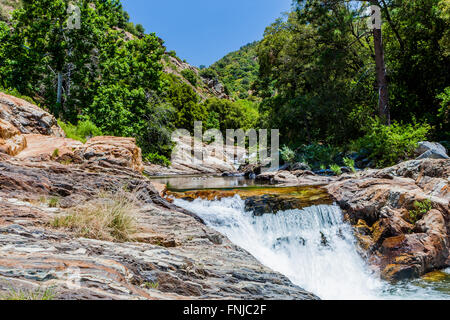 Middle Fork Kaweah River, in der Nähe von Generals Highway im Sequoia Nationalpark, Kalifornien, USA. Stockfoto