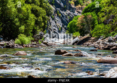 Redwood Creek am Kings Canyon Scenic Byway, Landstraße 180, Kings Canyon National Park, südlichen Sierra Nevada, Kalifornien, USA. Stockfoto