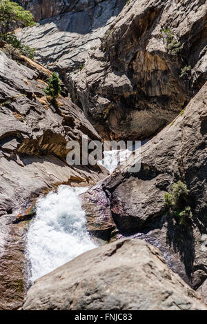 Die Roaring River Falls sind im Abschnitt Zeder-Waldung des Kings Canyon National Park am Hwy 180 Straßen Ende. Stockfoto