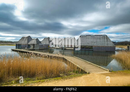 Brockholes Naturschutzgebiet in Preston in Lancashire. Der Lancashire Wildlife Trust entwickelt Brockholes seit über 20 Jahren. Adam Khan Architekten der "fließenden Welt" Visitor Center - ein Cluster von Gebäuden weitgehend aus Holz und andere nachhaltige Materialien gebaut. Es ähnelt einem alten Sumpfland Dorf. Credit: Paul Melling/Alamy leben Nachrichten Stockfoto