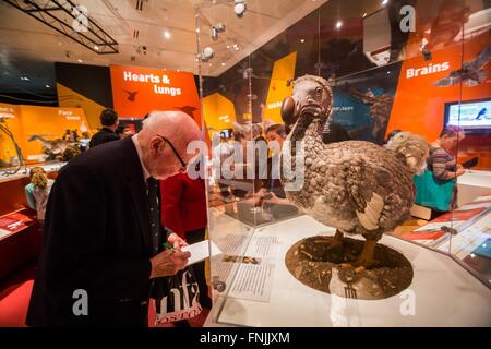 (160315)--NEW YORK, 15. März 2016 (Xinhua)--ein Besucher nimmt Kenntnis von der Dodo-Vogel während der "Dinosaurier Among Us"-Ausstellung in das American Museum of Natural History in New York, USA, 15. März 2016. Das American Museum of Natural History neue Ausstellung "Dinosaurier Among Us" wird vom 21. März 2016, 2. Januar 2017 für die Öffentlichkeit zugänglich. Die Ausstellung zeigt die evolutionären Verbindung zwischen Dinosauriern und moderne durch seltene Fossilien und lebensechten Modellen der gefiederten Dinosaurier und primitive Vögel, von denen viele in der chinesischen Provinz Liaoning entdeckt wurden. (Xinhua / Stockfoto