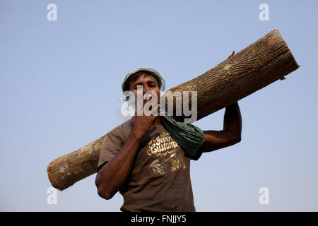 Dhaka, Dhaka, Bangladesh. 15. März 2016. 15. März 2016 Dhaka, Bangladesch '' "Bangladeshi Männer tragen Holz in Holz-Fabrik in Dhaka zu platzieren. Entwaldung ist eine große Bedrohung von Bangladesch. Entwaldung bedeutet Bäume in großer Zahl. Die Ursachen der Abholzung sind vielfältig. Laut Ökologen für lebenswerte Umwelt soll Wald auf dem Land 25 % der Gesamtfläche. In Bangladesch gibt es Wald 16 % der gesamten Landfläche. © K M Asad/ZUMA Draht/Alamy Live-Nachrichten Stockfoto