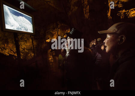 (160316)--POSTOJNA CAVE(SLOVENIA), 16. März 2016 (Xinhua)--Touristen beobachten einen seltenen Anblick der Mutter Olm mit ihren Eiern in ein live-Video aus dem großen Aquarium in der Höhle von Postojna, Slowenien, 15. März 2016 gefüttert. Grottenolme sind sehr empfindlich auf stress, weshalb Besucher, die Teil der Höhle, wo die Grottenolme in einem Aquarium sehen, sollen ruhig halten und keine Fotos. Um nicht zu stören den Olm oder Proteus Anguinus seinen Eiern zu schützen bedeckt Biologen das Aquarium mit schwarzen Abdeckungen bis schlüpfen. Dieses blinde Höhle Salamander galt zur Eiablage in seiner natürlichen Lebens- Stockfoto