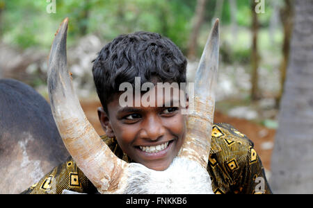 Porträt von einem Jungstier Jallikattu Dompteure. (Stierkampf) Jallikattu Stier zähmen während Pongal Festival. Madurai, Tamil Nadu, Indien Stockfoto