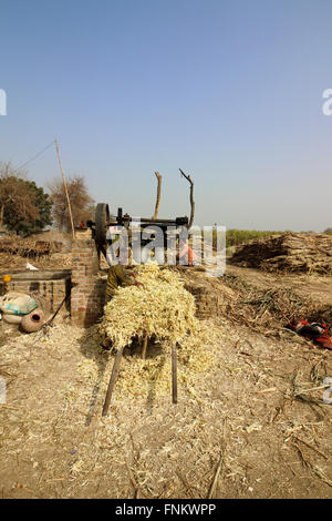 Männer arbeiten an einer Zuckerrohr-Presse im ländlichen Rajasthan