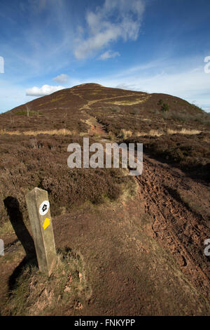 Scottish Borders, Schottland. Malerische Aussicht auf Eildon Hügel nördlich betrachtet von St. Cuthbert's Weg Fußweg. Stockfoto