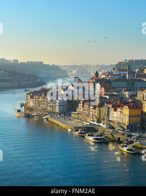 Fliegende Möwe über der Altstadt von Porto bei Sonnenuntergang. Portugal Stockfoto