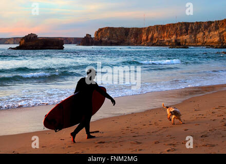 Surfer mit einem verspielten Hund wandern bei Sonnenuntergang am Strand Stockfoto