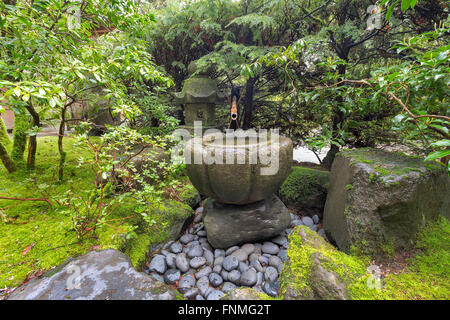 Tsukubai Wasserbrunnen mit Bambus Kakeki und Steinlaterne im japanischen Garten im Frühjahr Stockfoto