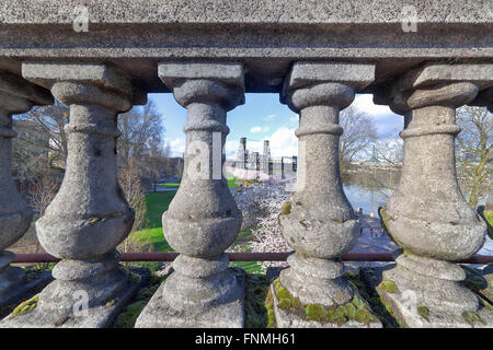 Blick von Cherry Blossoms Bäume durch die steinernen Balustrade auf Burnside Bridge in Portland, Oregon im Frühjahr Stockfoto
