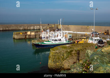 Amlwch Port Amlwch Anglesey North Wales Uk, Tralers, Angeln, alte Trockendock. Wellenbrecher, Außenhafen. Stockfoto