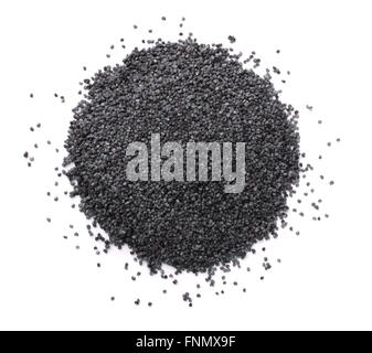 Draufsicht der Mohn isoliert auf weiss Stockfoto