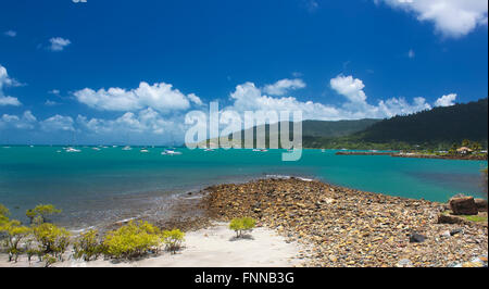 Jachten verankert festgemacht an einem ruhigen sonnigen Tag in Airlie Beach-Whitsundays, Queensland, Australien Stockfoto