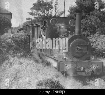 Die Talyllyn Schmalspurbahn in Wales wahrscheinlich um 1963 mit Nr. 2 Dolgoch in einem Zug Stockfoto