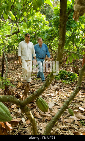 Präsident Rafael Correa mit Show hosten Peter Greenberg eine Kakao-Plantage während Dreharbeiten zu Ecuador Touren: The Royal Tour. Stockfoto