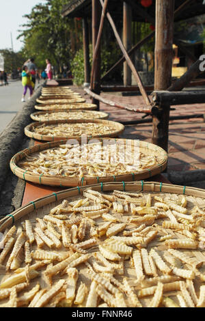 Vietnamesische Nudeln trocknen in der Sonne in Hoi an ein / Hoian - Vietnam Stockfoto