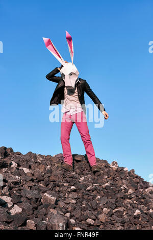 Rosa Rock Osterhase in der Geometrick-Maske im Frühjahr. Stockfoto