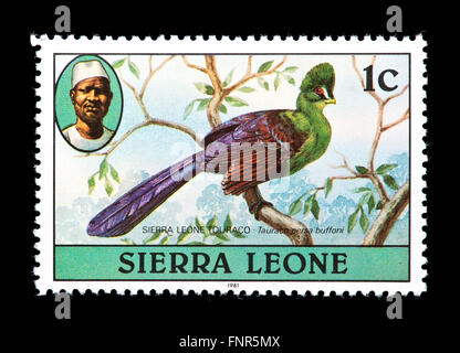 Briefmarke aus Sierra Leone ein Touraco darstellt. Stockfoto