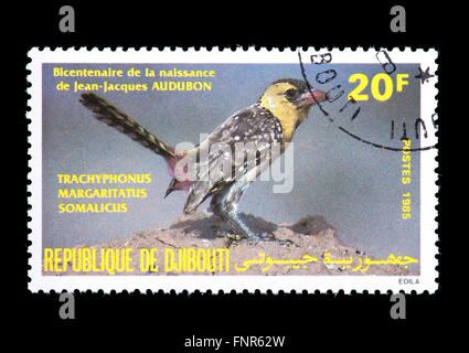Briefmarke aus Dschibuti Darstellung eine gelbe-breasted Barbet (Trachyphonus Margaritatus) Stockfoto