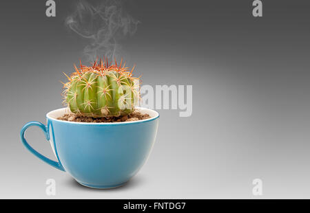 Kaktus in der Kaffeetasse. Es empfiehlt sich Getränke schlecht schmecken ähnliche Optionen wie Kaktus. Trinken Sie heißen Rauch. mit Beschneidungspfade. Stockfoto