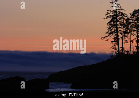 Der Nebel rollt in den Sonnenuntergang entlang Vancouver Inseln West Coast Trail Stockfoto