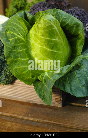 Frische Bio-Marktgemüse - spitz grün Kohl, lila und grün Grünkohl auf hölzernen Hintergrund Stockfoto
