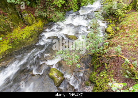 Rydal - schönen Wasserfall in der Nähe von Rydal Mount, Lake District, Großbritannien Stockfoto