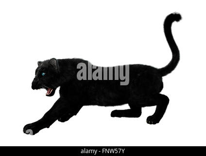 Digitalen Rendern einer Raubkatze schwarze Panther Jagd isoliert auf weißem Hintergrund Stockfoto