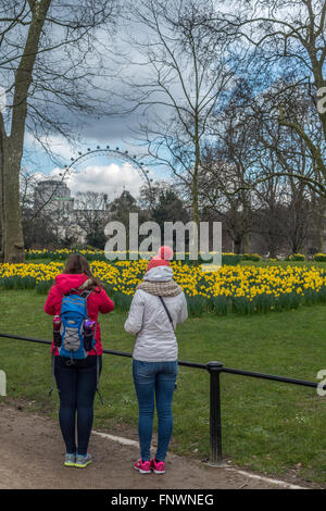 Zwei junge Frauen bewundern die Narzissen in St James Park, London, UK Stockfoto