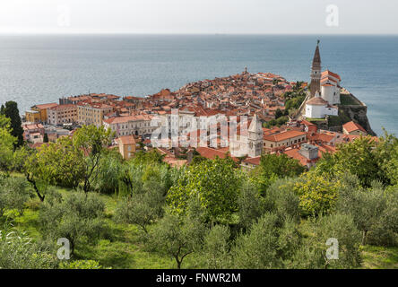 Malerischen alten Stadt Piran auf Halbinsel im Adriatischen Meer, Slowenien. Luftaufnahme. Stockfoto
