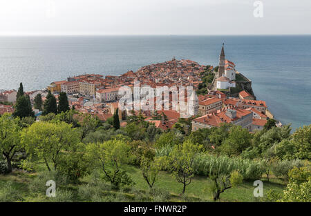 Malerischen alten Stadt Piran auf Halbinsel im Adriatischen Meer, Slowenien. Luftaufnahme. Stockfoto