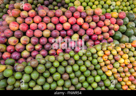 Frisches Obst und Gemüse für den Verkauf durch den Straßenrand in Addis Abeba, Äthiopien. Stockfoto