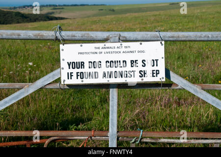 Hinweis Achtung Hundebesitzer, die ihre Tiere wenn geschossen werden konnte Runde unter Schaf auf den Sussex Downs in der Nähe von Eastbourne Stockfoto