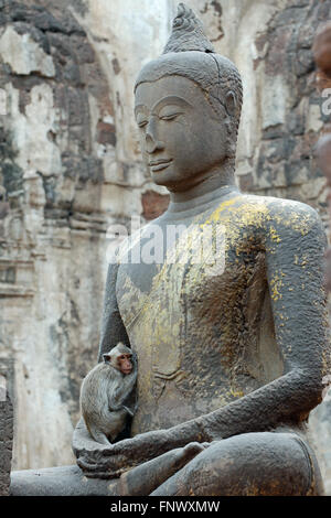 Affe findet Trost in der Buddha Armen Stockfoto