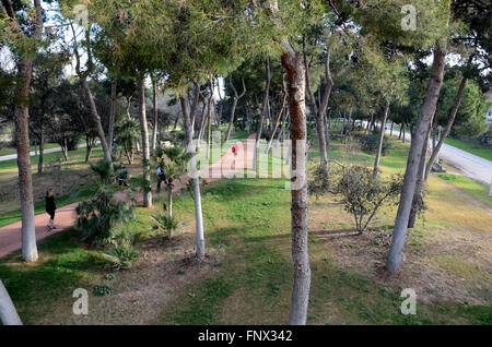 Joggen im Jardin del Turia, Valencia, Spanien Stockfoto