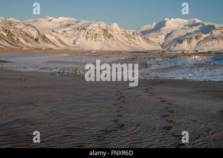 Fußspuren im Sand zu schneebedeckten Bergen Stockfoto