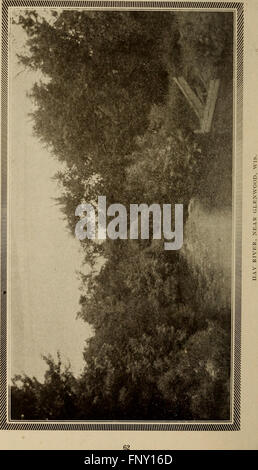 Im Sommer 1904 auf der Wisconsin central Railway. Illinois und Wisconsin (1904) Stockfoto